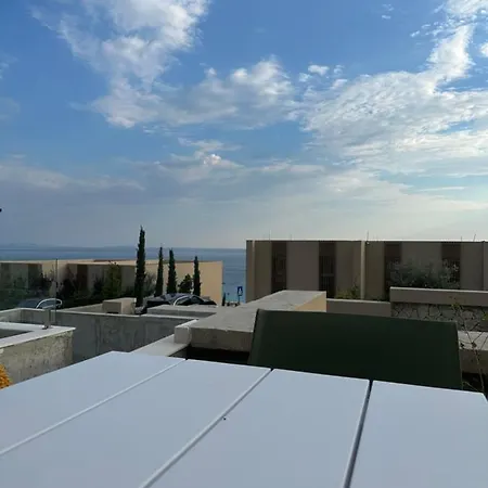 Villa Olivia Coast Palasa *